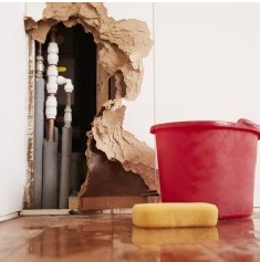 Kameralı Su Kaçak tespit Fiyatları